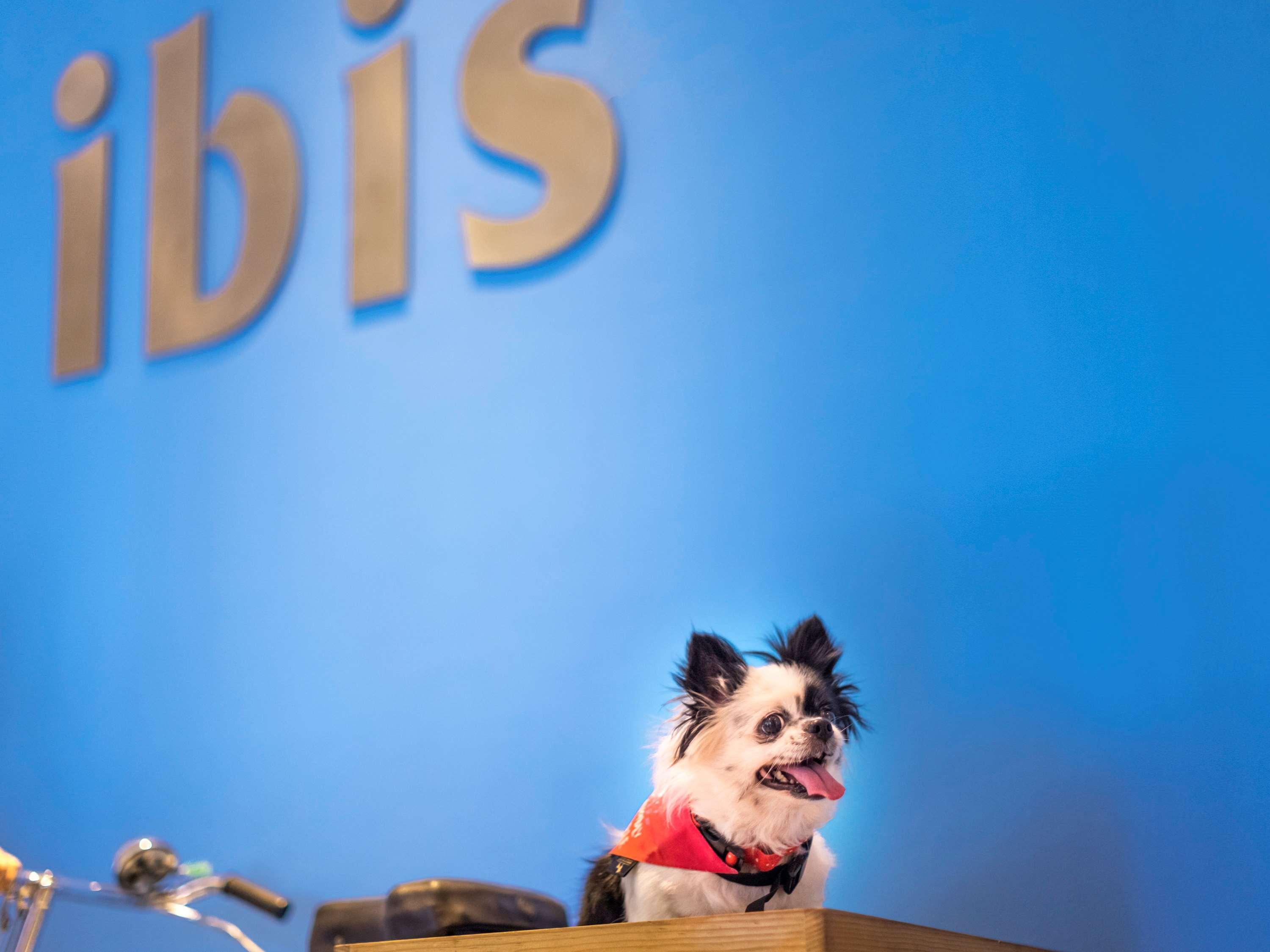 Ibis Bengaluru Hosur Road - An Accor Brand Hotel Kültér fotó